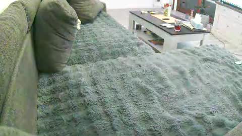 Doggystyle online show from March 28, 6:32 pm