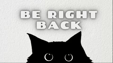 amituist online show from March 19, 12:54 am