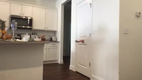 Anastasia online show from February 23, 5:16 pm