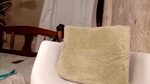 Megan online show from September 26, 10:29 pm