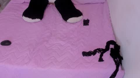 B L A C K  R O S E  online show from March 1, 12:11 pm