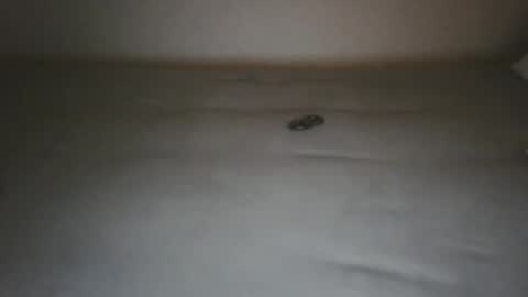 bttmsletje66 online show from December 19, 8:36 pm