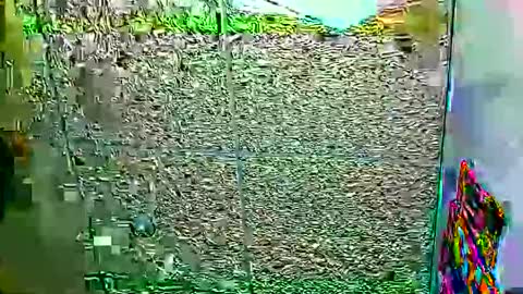 Dayan Camila online show from January 12, 6:09 am