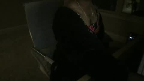 CaseyRio online show from November 18, 4:56 am