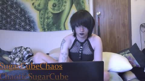 Snapshot of chaoticsugarcube chatting on January 2, 11:38 pm chaoticsugarcube online show from January 2, 11:38 pm
