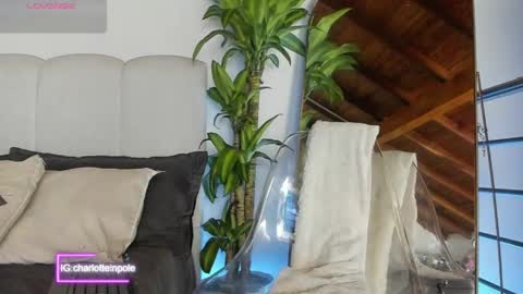 charlotteinpool online show from June 6, 7:15 am