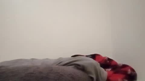 ChemicalX  online show from February 4, 11:31 pm