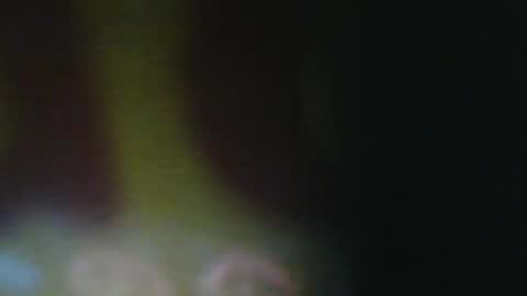 danielahot69 online show from July 13, 8:54 pm