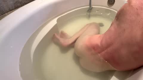 AbBey Dee Love online show from March 28, 8:16 am