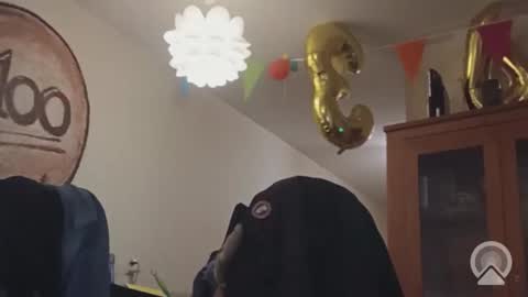 sissyoldernl online show from March 16, 5:11 am