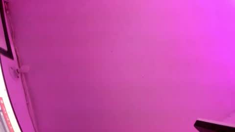 galactica_7 online show from September 26, 11:40 am