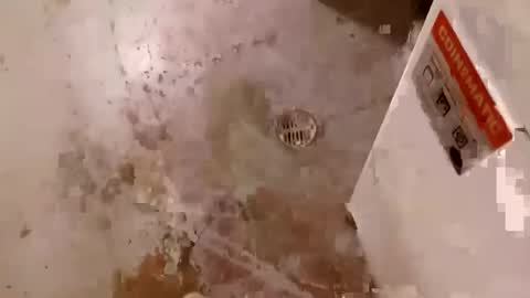 gjpj1 online show from December 9, 1:18 am