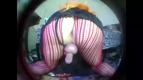 hardkoregigi online show from November 8, 12:00 am