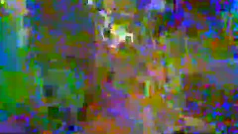 honeybfly99 online show from March 5, 4:19 am