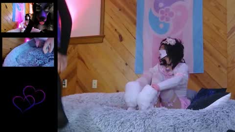 housepetsoffleash online show from March 28, 3:19 am