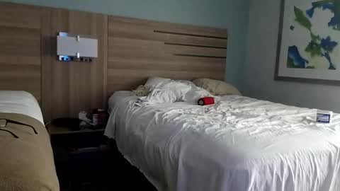 Jamie Rose Queenschild ever... online show from February 8, 3:12 am