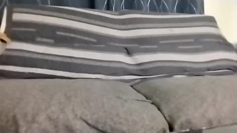 Jamie Rose Queenschild ever... online show from February 28, 8:10 am