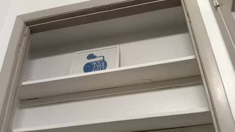 jynxamy online show from March 5, 5:18 pm