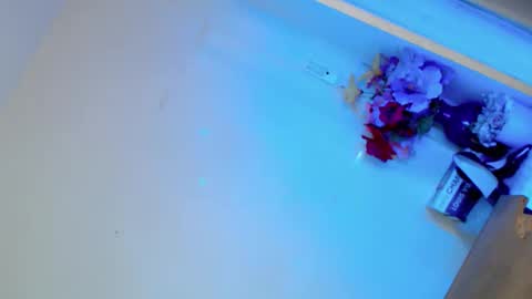 Stella online show from November 7, 11:05 pm