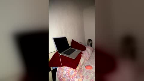Luisa Monsters online show from February 24, 12:03 am