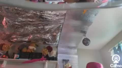 Snapshot of merelyalover chatting on December 26, 9:04 pm gurlnips online show from December 26, 9:04 pm