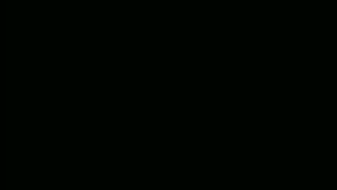 nikkigamer online show from October 14, 7:36 pm