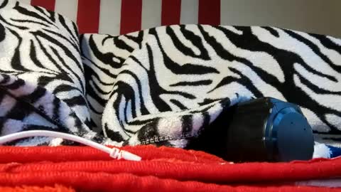 Laura online show from September 18, 6:07 am