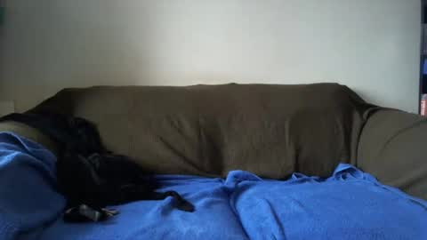 Snapshot of ovoplays chatting on January 14, 11:53 am Chloeeee xxx online show from January 14, 11:53 am