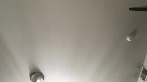 Snapshot of paigethekinkyone chatting on January 2, 8:24 pm PrincessTsVivian online show from January 2, 8:24 pm