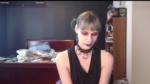 Snapshot of palaceofmalice chatting on December 17, 4:43 pm palaceofmalice online show from December 17, 4:43 pm