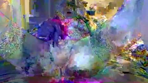 paul5816 online show from November 1, 5:27 am