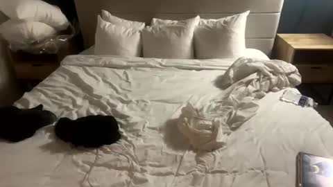 Lina Funeral online show from December 21, 7:45 am