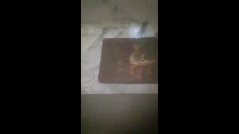 Samson SmartyPants online show from April 6, 2:39 pm