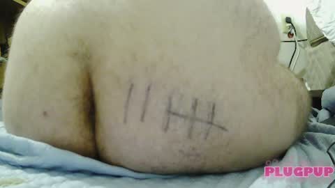 PlugPup online show from August 1, 2:40 pm