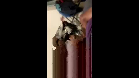 rackoftrans online show from October 13, 7:31 am