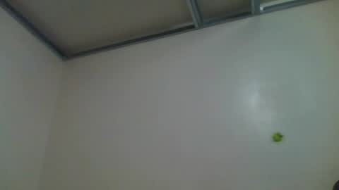 sabrinatravsexy online show from July 13, 8:54 pm