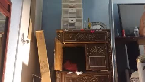 Sandra online show from March 11, 9:24 am