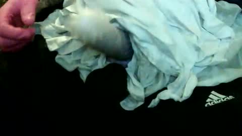 silly ugly loser cd online show from November 17, 3:34 pm