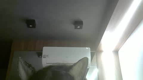 skinnykittencam online show from March 27, 8:37 am