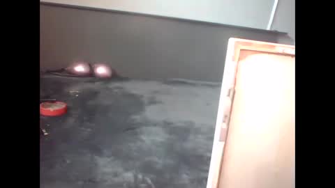 slutviki online show from February 15, 10:14 am