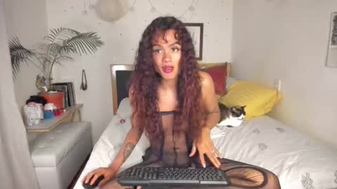 SofiTrans21 online show from November 29, 1:07 am