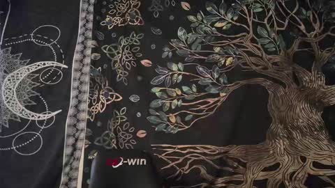 tealjobe online show from December 12, 6:25 am