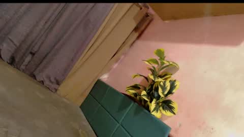 the_ladyboy_nextdoor69 online show from June 17, 11:55 am
