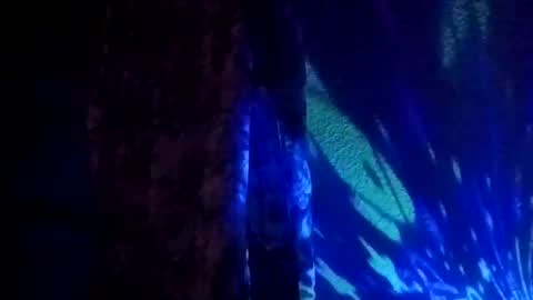 Thickamber online show from January 10, 12:44 pm