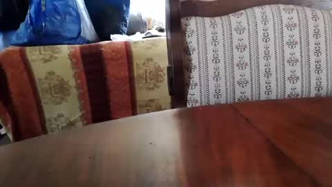 patricia online show from July 3, 12:22 pm
