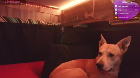 sissygirltaylor online show from April 26, 3:59 am