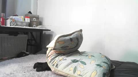 Rbabes online show from February 3, 9:03 am