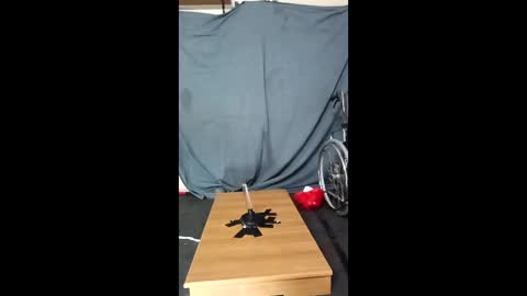 xoomia3 online show from January 10, 10:32 am