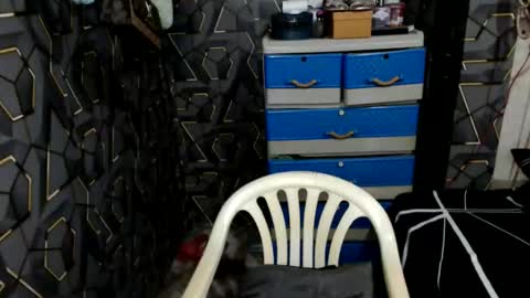 yumi online show from March 23, 11:21 pm