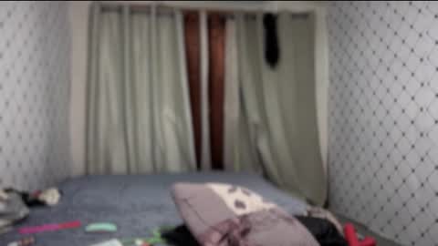 Zinnia nics online show from October 13, 9:43 am